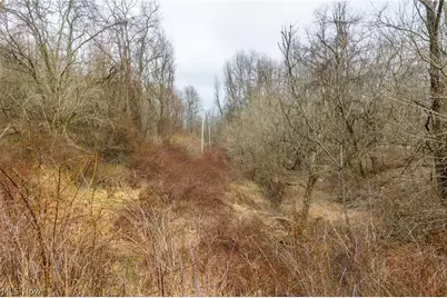 10445 Shannon Road, Frazeysburg, OH 43822 - Photo 7