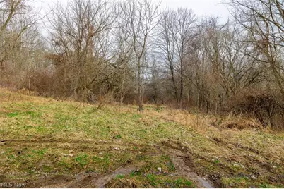 10445 Shannon Road, Frazeysburg, OH 43822 - Photo 9