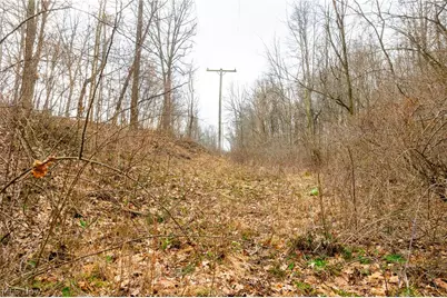 10445 Shannon Road, Frazeysburg, OH 43822 - Photo 17