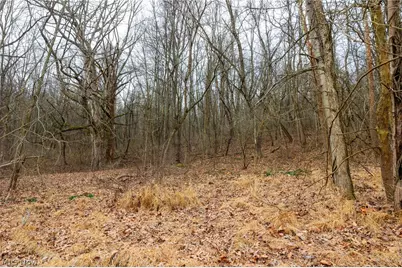 10445 Shannon Road, Frazeysburg, OH 43822 - Photo 13