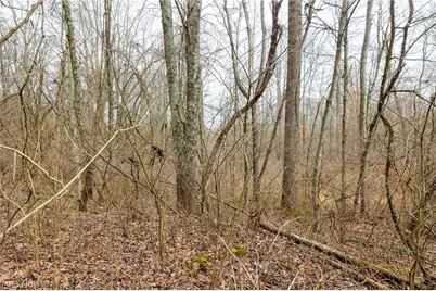 10445 Shannon Road, Frazeysburg, OH 43822 - Photo 19