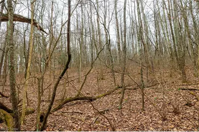 10445 Shannon Road, Frazeysburg, OH 43822 - Photo 21