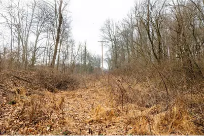 10445 Shannon Road, Frazeysburg, OH 43822 - Photo 3