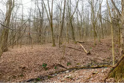 10445 Shannon Road, Frazeysburg, OH 43822 - Photo 9