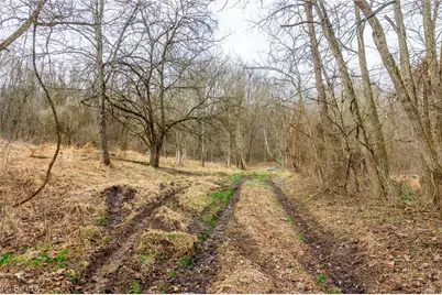 10445 Shannon Road, Frazeysburg, OH 43822 - Photo 7