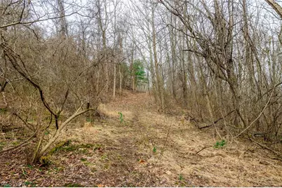 10445 Shannon Road, Frazeysburg, OH 43822 - Photo 9