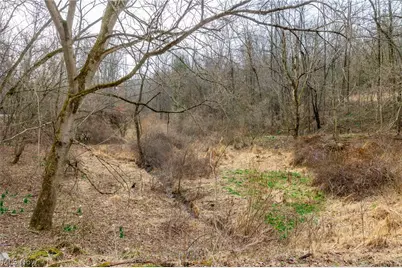 10445 Shannon Road, Frazeysburg, OH 43822 - Photo 5