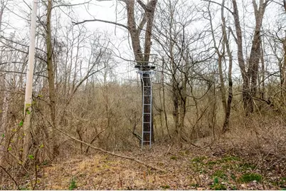 10445 Shannon Road, Frazeysburg, OH 43822 - Photo 5