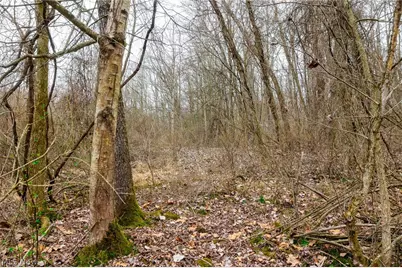 10445 Shannon Road, Frazeysburg, OH 43822 - Photo 9