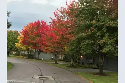 4 Chelsea Court, Beachwood, OH 44122 - Photo 35