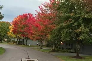 4 Chelsea Ct, Beachwood, OH 44122 - Photo 35