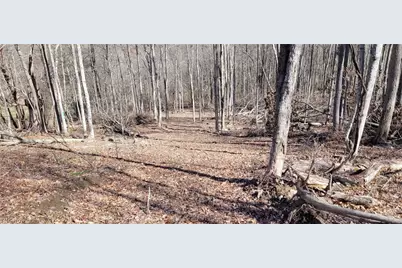 21776 State Route 79, Warsaw, OH 43844 - Photo 11