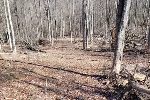 21776 State Route 79, Warsaw, OH 43844 - Photo 11