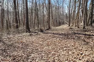 21776 State Route 79, Warsaw, OH 43844 - Photo 13