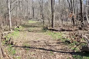 21776 State Route 79, Warsaw, OH 43844 - Photo 41