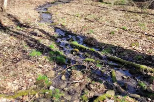 21776 State Route 79, Warsaw, OH 43844 - Photo 25