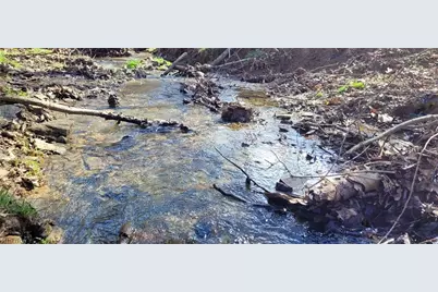 21776 State Route 79, Warsaw, OH 43844 - Photo 7