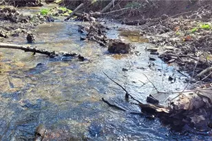 21776 State Route 79, Warsaw, OH 43844 - Photo 7