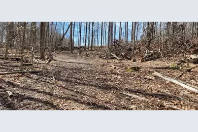 21776 State Route 79, Warsaw, OH 43844 - Photo 45