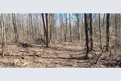 21776 State Route 79, Warsaw, OH 43844 - Photo 19