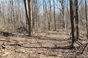 21776 State Route 79, Warsaw, OH 43844 - Photo 19