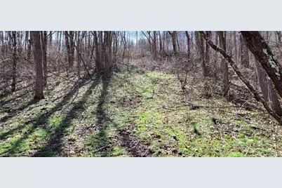 21776 State Route 79, Warsaw, OH 43844 - Photo 29