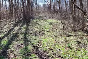 21776 State Route 79, Warsaw, OH 43844 - Photo 29