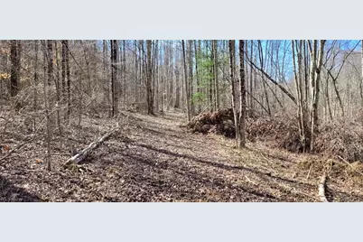 21776 State Route 79, Warsaw, OH 43844 - Photo 47