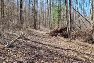 21776 State Route 79, Warsaw, OH 43844 - Photo 47