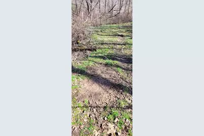 21776 State Route 79, Warsaw, OH 43844 - Photo 27