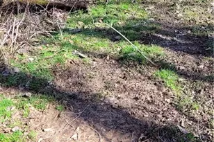 21776 State Route 79, Warsaw, OH 43844 - Photo 27