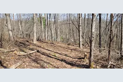 21776 State Route 79, Warsaw, OH 43844 - Photo 23