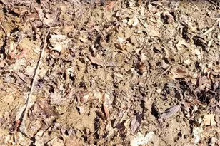 21776 State Route 79, Warsaw, OH 43844 - Photo 17