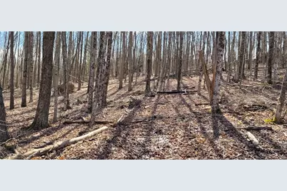 21776 State Route 79, Warsaw, OH 43844 - Photo 9