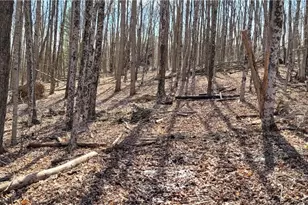 21776 State Route 79, Warsaw, OH 43844 - Photo 9