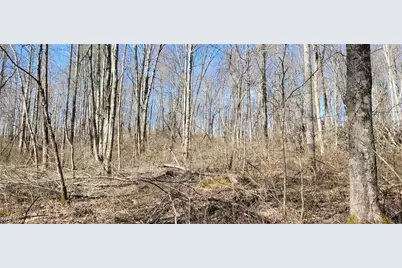 21776 State Route 79, Warsaw, OH 43844 - Photo 21