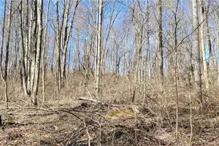 21776 State Route 79, Warsaw, OH 43844 - Photo 21