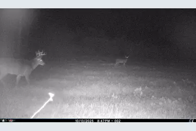 12167 Mantua Center Road, Mantua, OH 44255 - Photo 19