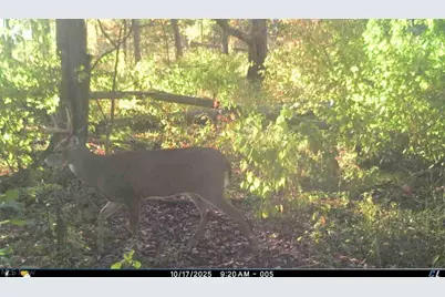 12167 Mantua Center Road, Mantua, OH 44255 - Photo 17