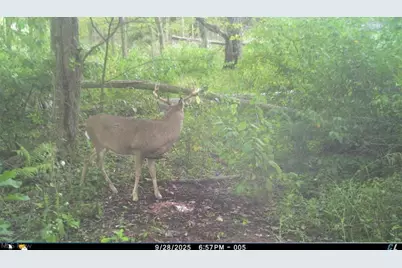 12167 Mantua Center Road, Mantua, OH 44255 - Photo 15