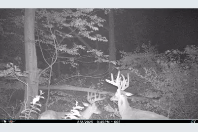 12167 Mantua Center Road, Mantua, OH 44255 - Photo 21