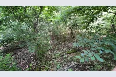 Point Lookout Road, Stockport, OH 43787 - Photo 11