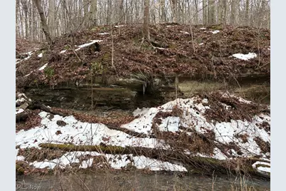 0 Tract 4 Twp Rd 815, Woodsfield, OH 43793 - Photo 5