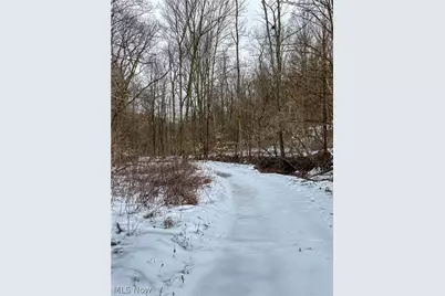 0 Tract 4 Twp Rd 815, Woodsfield, OH 43793 - Photo 19