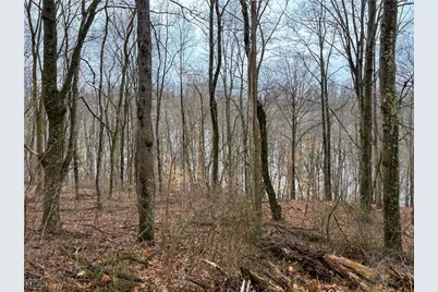 0 Tract 4 Twp Rd 815, Woodsfield, OH 43793 - Photo 29