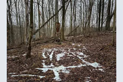 0 Tract 4 Twp Rd 815, Woodsfield, OH 43793 - Photo 27