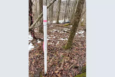 0 Tract 4 Twp Rd 815, Woodsfield, OH 43793 - Photo 25