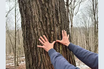 0 Tract 4 Twp Rd 815, Woodsfield, OH 43793 - Photo 7