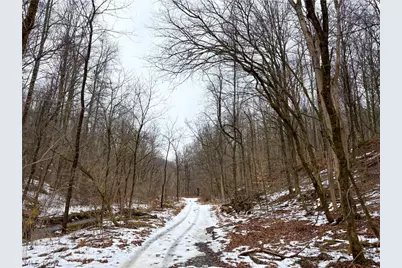 0 Tract 4 Twp Rd 815, Woodsfield, OH 43793 - Photo 33