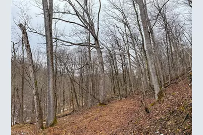 0 Tract 4 Twp Rd 815, Woodsfield, OH 43793 - Photo 31